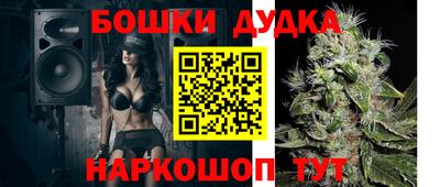 прущие крисы Будённовск