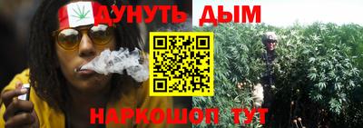 прущие крисы Будённовск