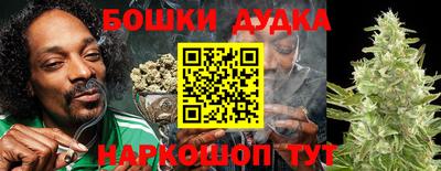 прущие крисы Будённовск