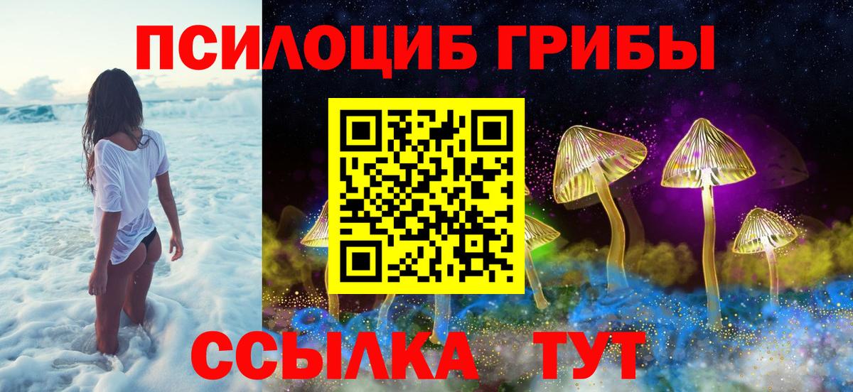Королёв  Галлюциногенные грибы прущие грибы  Вход с VPN 