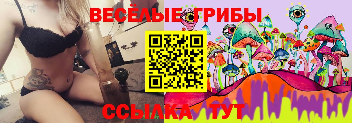 Псилоцибиновые грибы прущие грибы Королёв